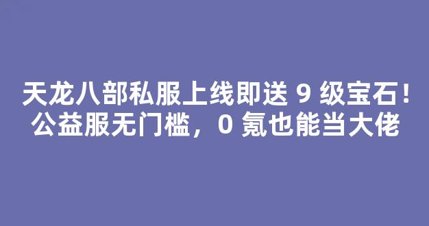 天龙八部私服上线即送 9 级宝石！公益服无门槛，0 氪也能当大佬